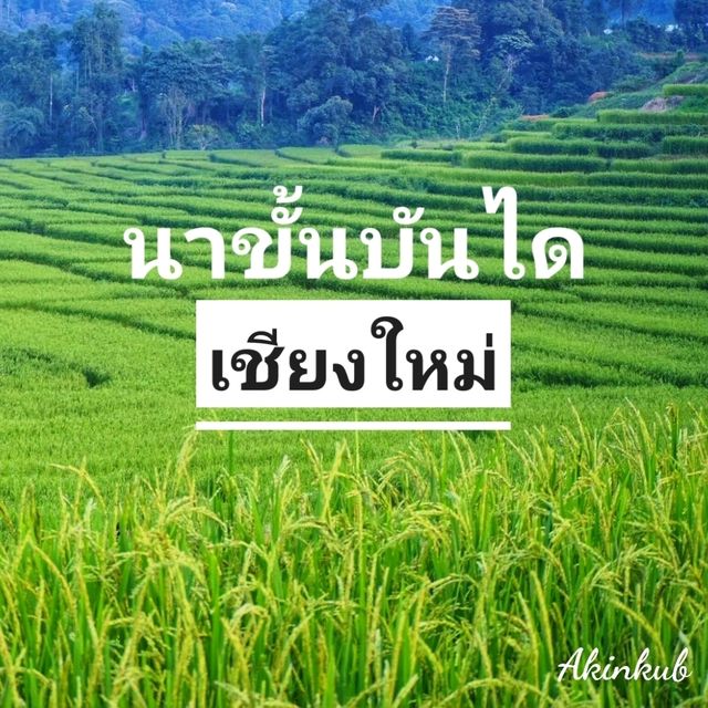เขียวขจีทั้งเฟรม