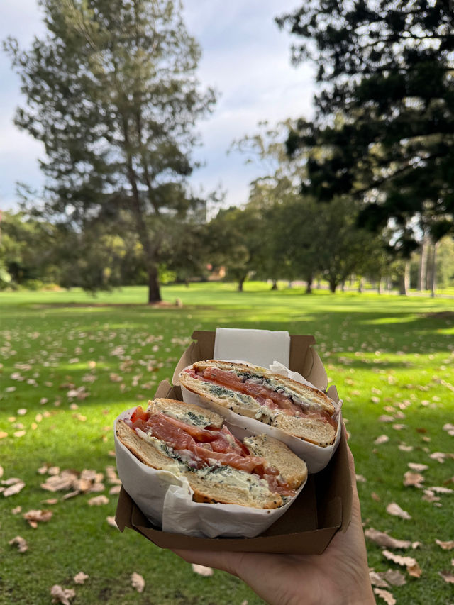 【🇦🇺パース】公園で朝活！おしゃれな朝食を食べよう🥯