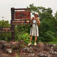 เดินป่าหน้าฝน ลานหินปุ่ม - ผาชูธง ภูหินร่องกล้า