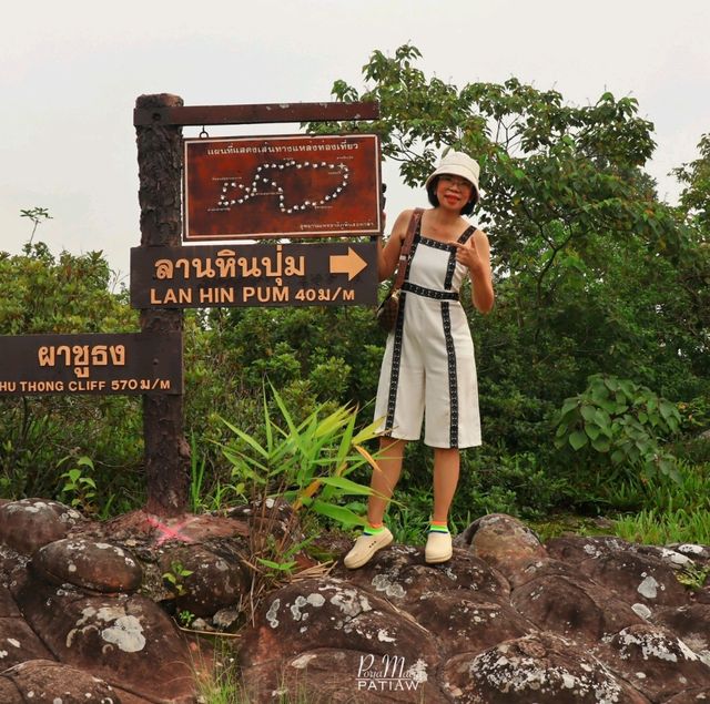 เดินป่าหน้าฝน ลานหินปุ่ม - ผาชูธง ภูหินร่องกล้า