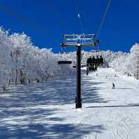 新雪谷村滑雪勝地：冬季運動的天堂⛷️❄️🏔️