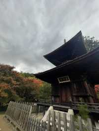 ใบไม้เปลี่ยนสีที่ Jojakkoji Temple Kyoto