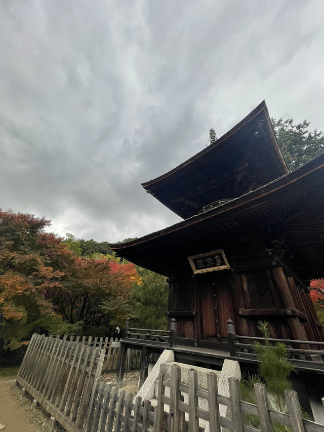 ใบไม้เปลี่ยนสีที่ Jojakkoji Temple Kyoto