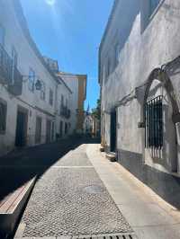 葡萄牙Evora古城遺跡，Almendres Cromlech巨石陣