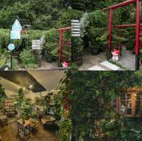 คาเฟ่หนองคาย