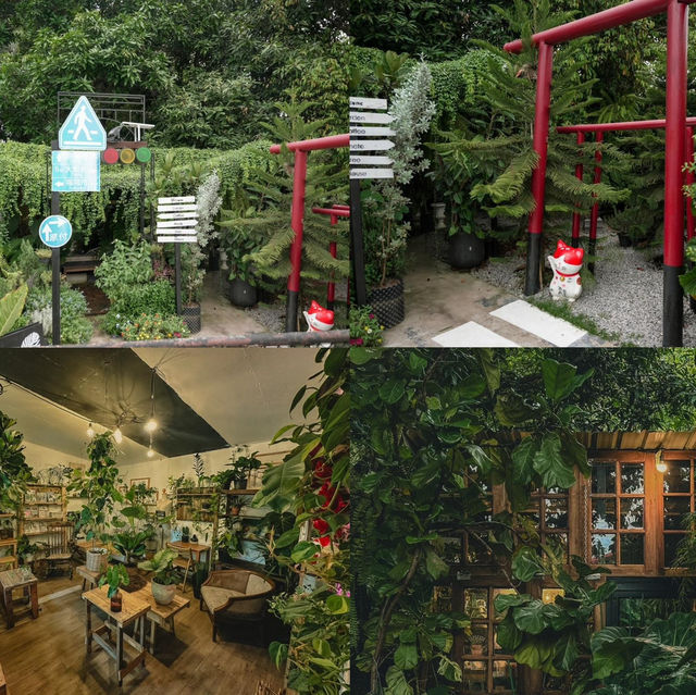 คาเฟ่หนองคาย