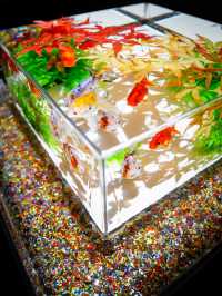 【家族に優しい】秋を感じる屋内スポット✨金魚×秋の世界を体験😍※撮影の楽しみ方付