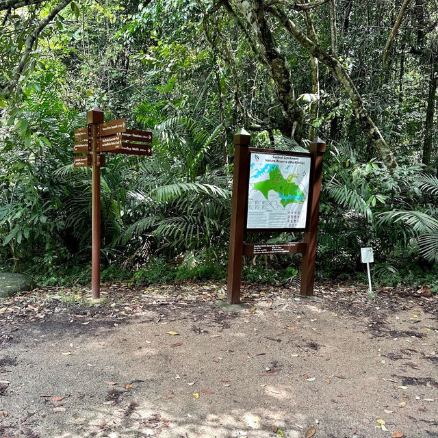 Lush Trails & Tranquil Waters at MacRitchie Reservoir