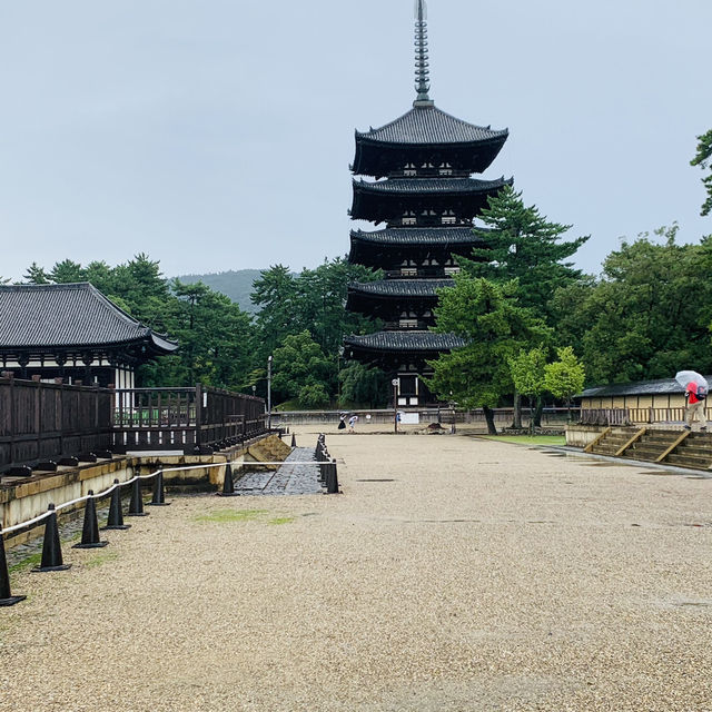 奈良公園の　鹿！！