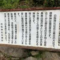 【琵琶湖の中に立つ鳥居】滋賀県の名勝・白鬚神社