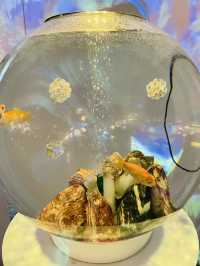 【奈良県】奈良県最大級の金魚が楽しめる！