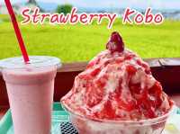 Strawberry Kobo คาเฟ่สตอเบอร์รี่ จ.นารา