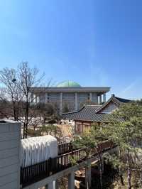 【ソウル／汝矣島】漢江公園でのんびりお散歩
