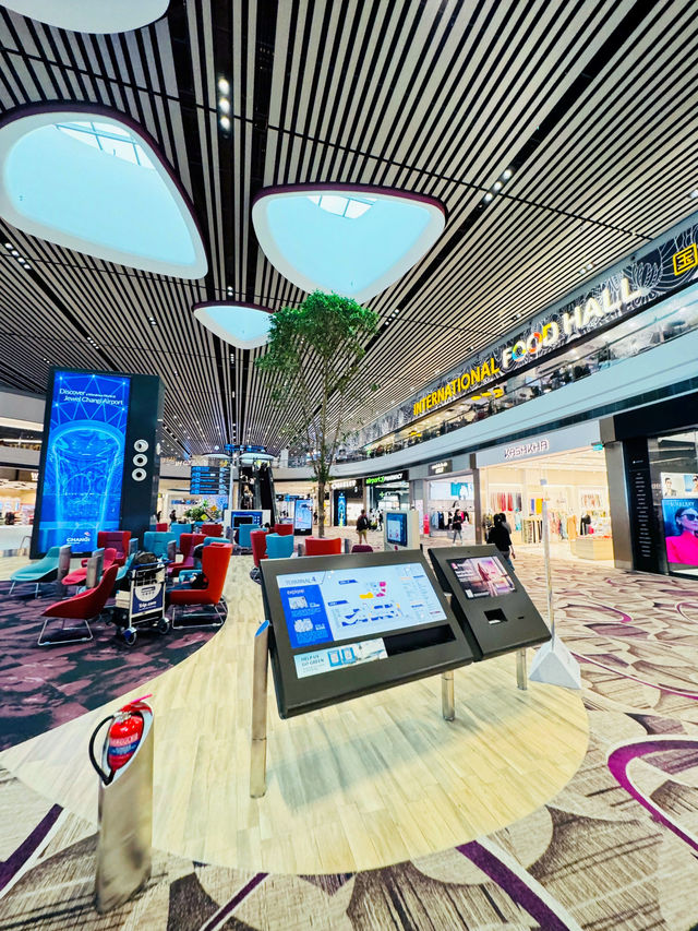 🇸🇬 Shopping in Changi Airport