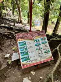 น้ำพุธรรมชาติบ้านท่าช้าง เขาใหญ่🌳