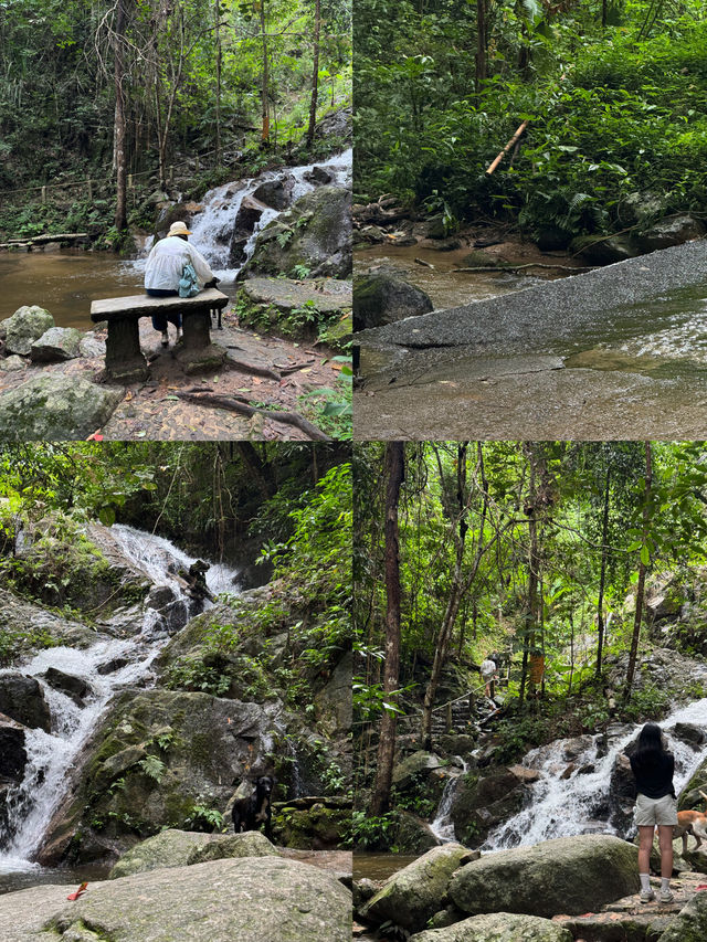 น้ำตกแม่กำปอง | จ.เชียงใหม่ 🪨💦🌿🌳