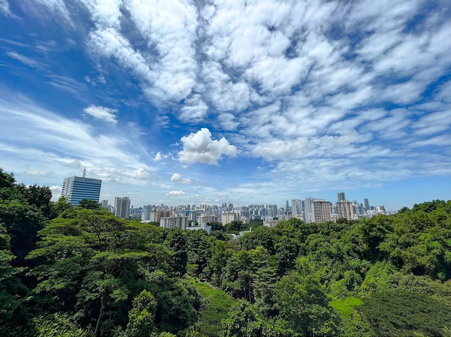 Urban Symphony from Henderson Waves