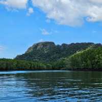 A wander to nature, Mangrove River at Kilim Geoforest Park