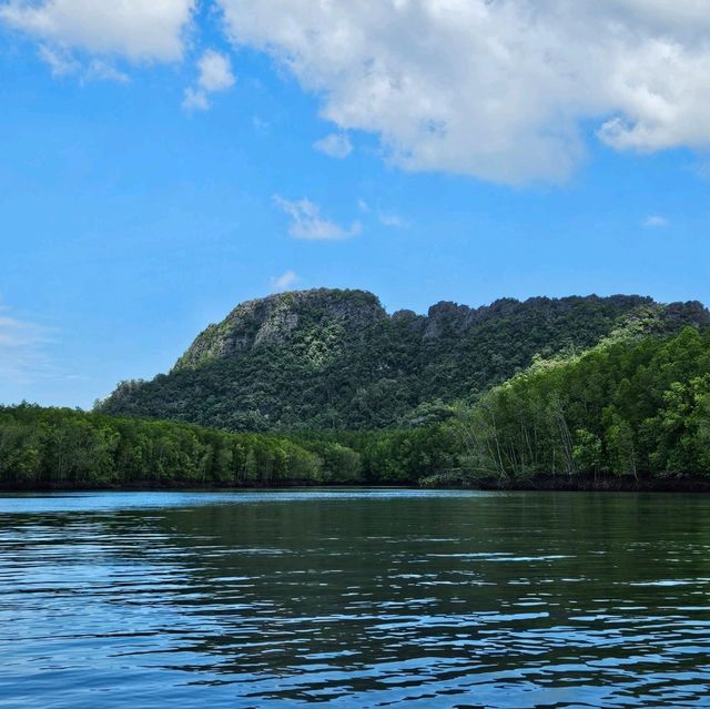 A wander to nature, Mangrove River at Kilim Geoforest Park