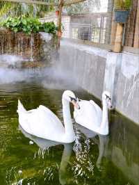 Outdoor Adventure at Desaru Mini Zoo