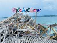 แหล่งท่องเที่ยวเชิงอนุรักษ์อุทยานใต้ทะเลเกาะขาม