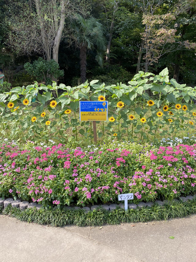【東京】東京タワーがきれいに見える公園