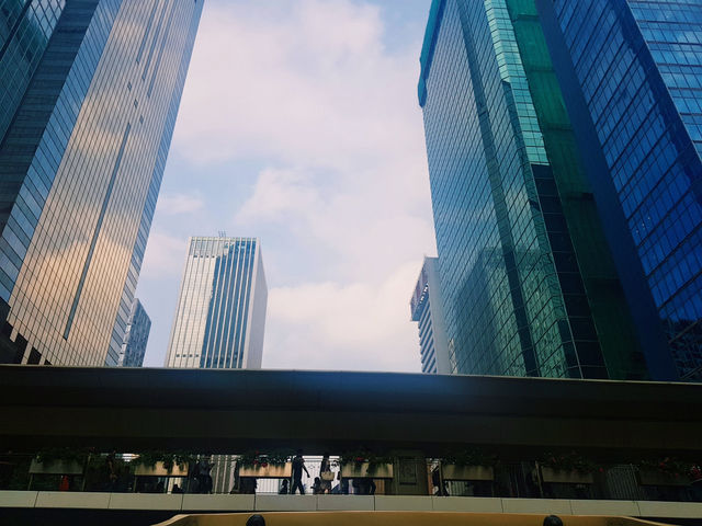 홍콩 빅버스 투어! 2층에서 제대로 즐기기🥰
