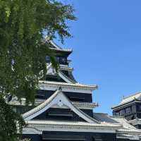 Rediscovering History: A Journey Through the Timeless Majesty of Kumamoto Castle