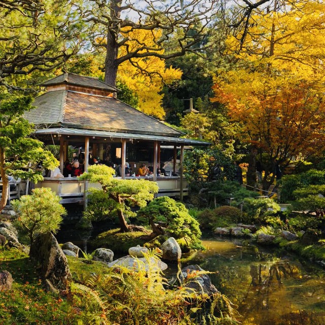 善學院：靜謐避風港 🍃⛩️