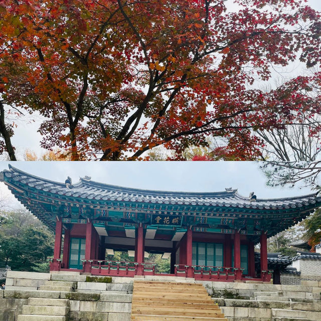 看得到紅葉的韓式宮殿
