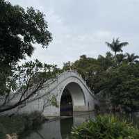 「深圳」荔枝公園，城市中的綠洲
