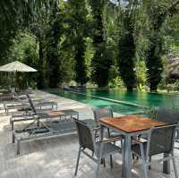 ที่พักเชียงใหม่ท่ามกลางสวนดอกไม้ 