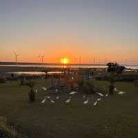 Explore the beauty of Gaomei Wetland Taichung