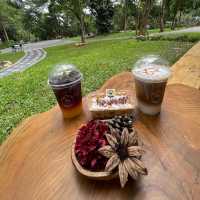 Assana Cafe