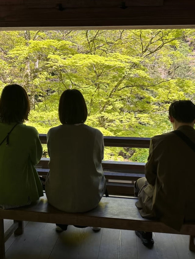 貴船神社 值得一來的景點🤗
