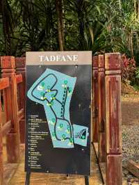 เที่ยวน้ำตก เล่นzipline ที่ลาวใต้