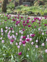 สวน byukchoji ที่พาจู