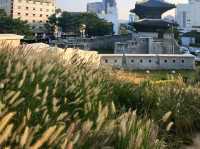 지금 가야할 걷기 좋은 청계천&흥인지문공원🏞