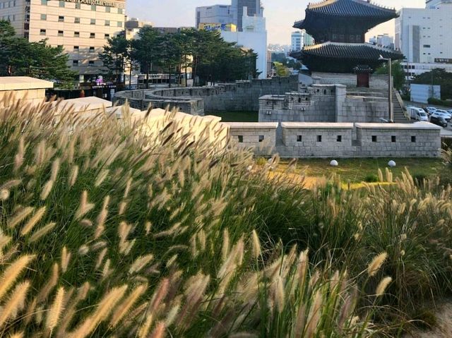 지금 가야할 걷기 좋은 청계천&흥인지문공원🏞