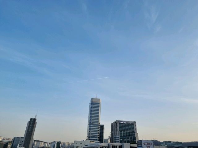 지금 가야할 걷기 좋은 청계천&흥인지문공원🏞