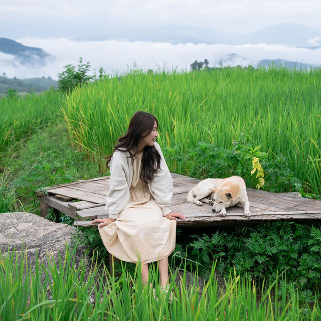 10ข้อควรรู้ ก่อนมาป่าบงเปียง 🌾⛰️🌧️