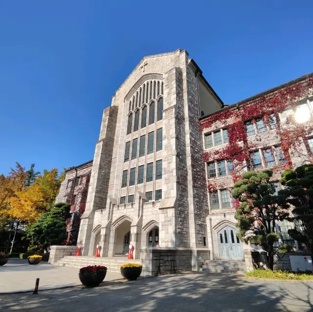 Don't Miss the Ginkgo Trees and Autumn Leaves at Ewha Womans University in Seoul
