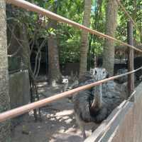 คาเฟ่ ที่เป็นมากกว่าคาเฟ่ เป็นที่ 1 ในใจ