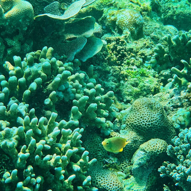 Dive into the Wonders of Gili Air