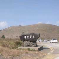 제주도의 새별오름을 올라보자!!!