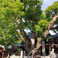 【石切劔箭神社:東大阪市東石切町】