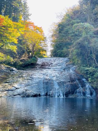 [Chiba x Autumn leaves]