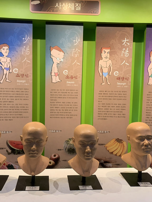 Step Into the Healing Past: A Visit to Yangnyeongsi Oriental Medicine Museum Step Into the Healing Past: A Visit to Yangnyeongsi Oriental Medicine Museum