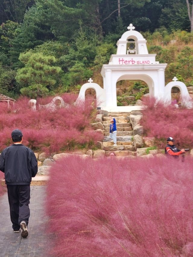 가을 핫플 1순위