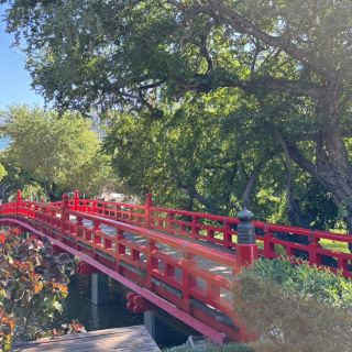 一個人去台中旅行